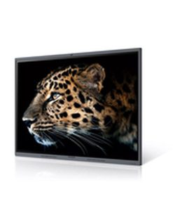 Videowall Monitor Maxhub C7530 4K Ultra HD 75